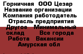 Горничная. ООО Цезар › Название организации ­ Компания-работодатель › Отрасль предприятия ­ Другое › Минимальный оклад ­ 1 - Все города Работа » Вакансии   . Амурская обл.